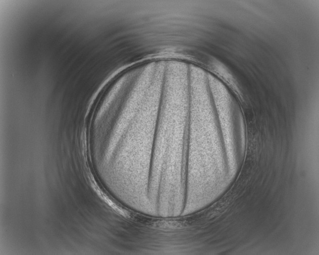 X0000082681092200702161652