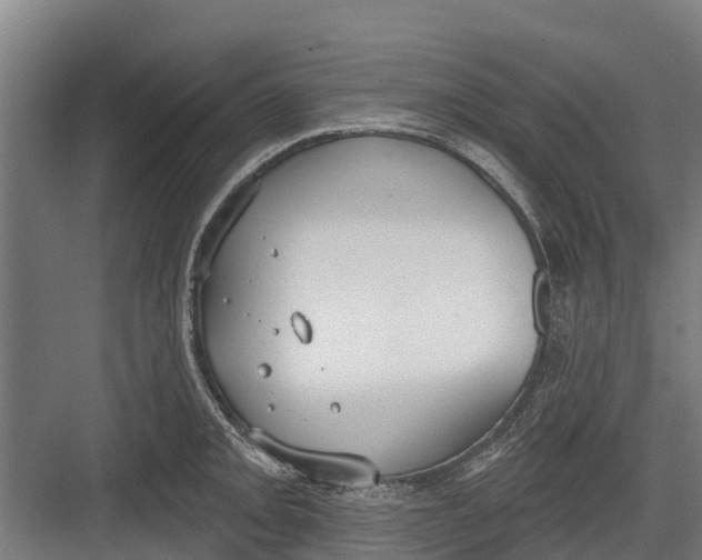 X0000082681093200702161652