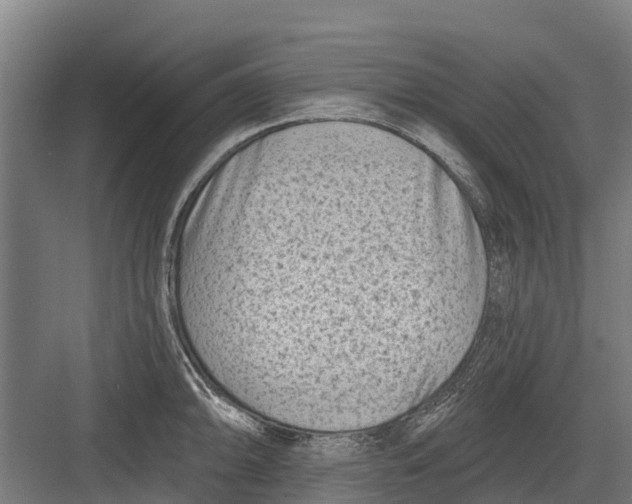 X0000082681094200702161652