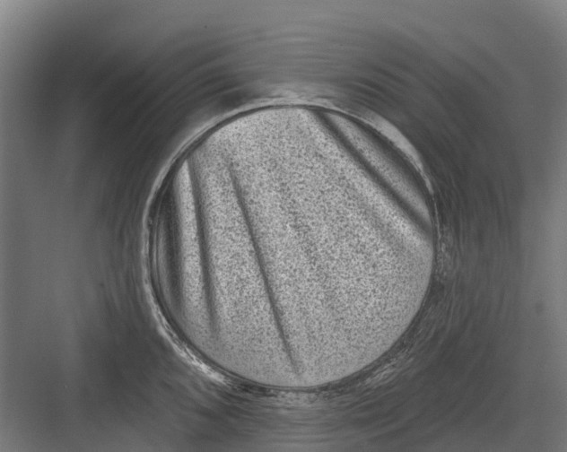 X0000082681096200702161652