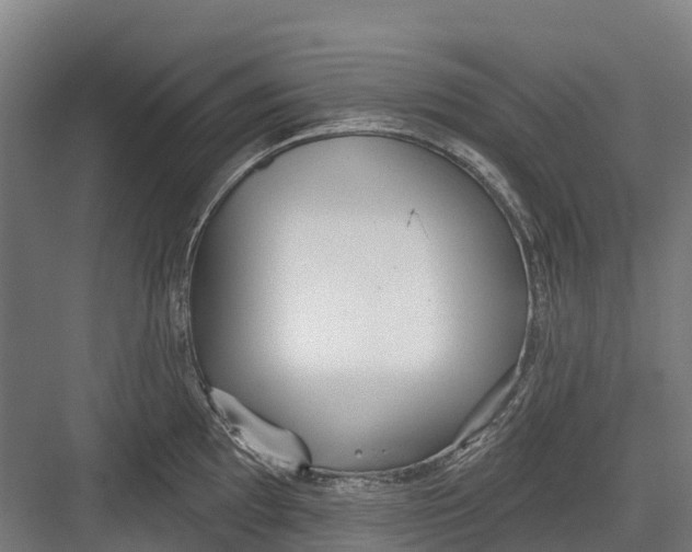 X0000082681097200702161652