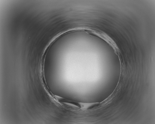 X0000082681101200702161652