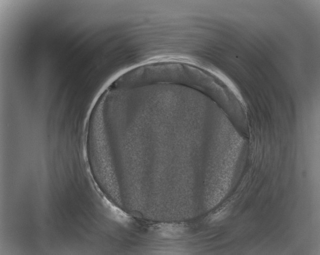 X0000082681102200702161652