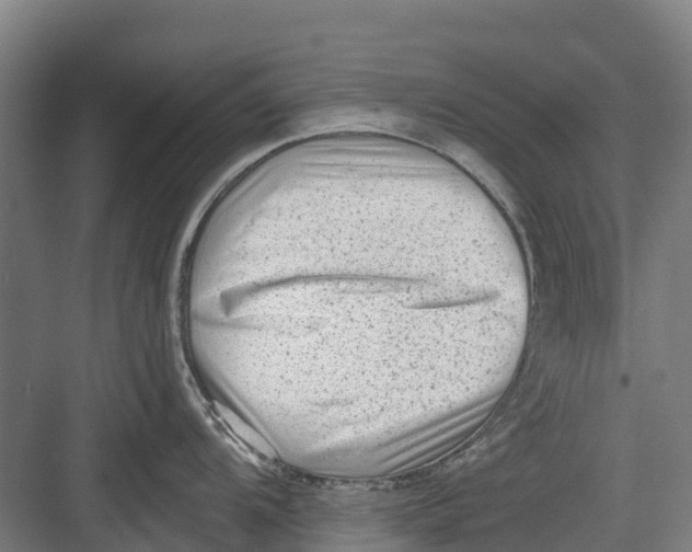 X0000082681104200702161652