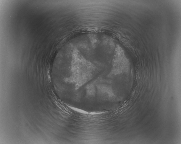 X0000082681106200702161651