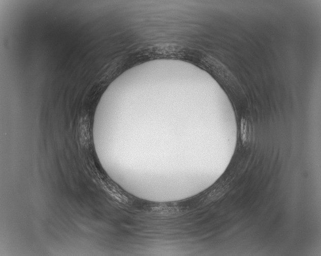 X0000082681107200702161651