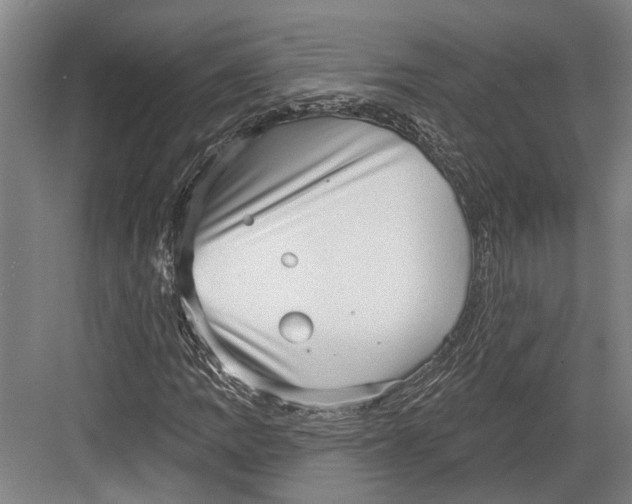 X0000082681109200702161651