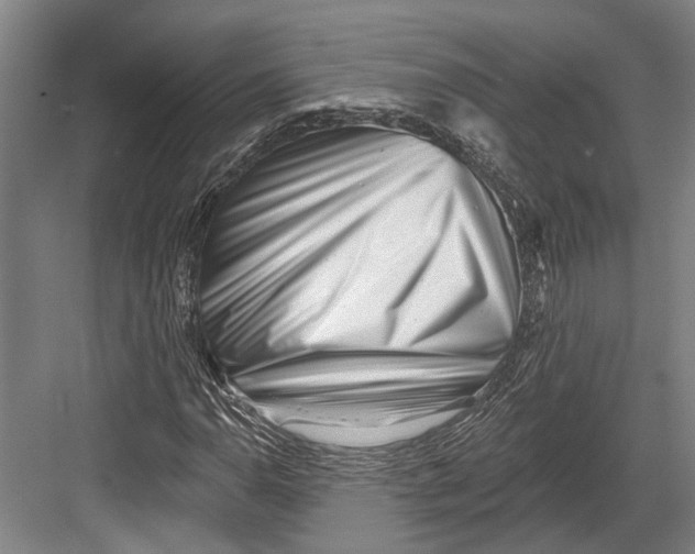 X0000082681110200702161651