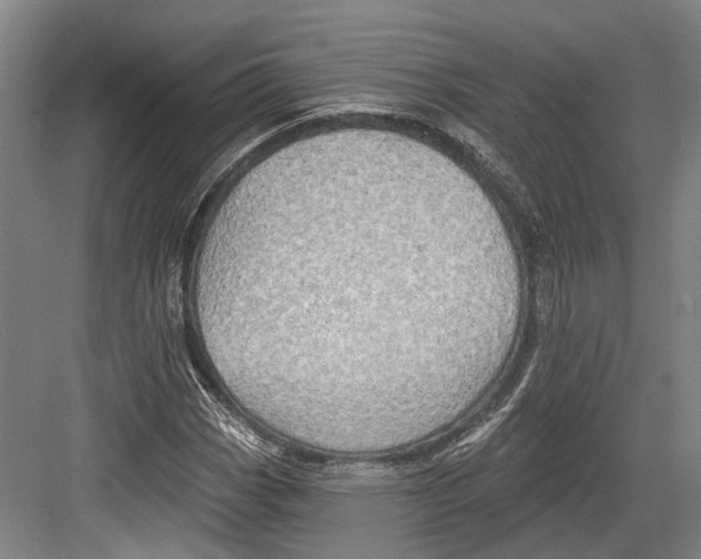 X0000082681113200702161651