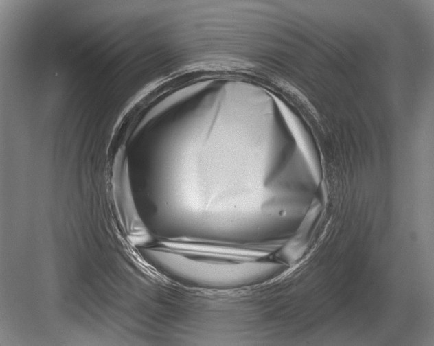 X0000082681114200702161651