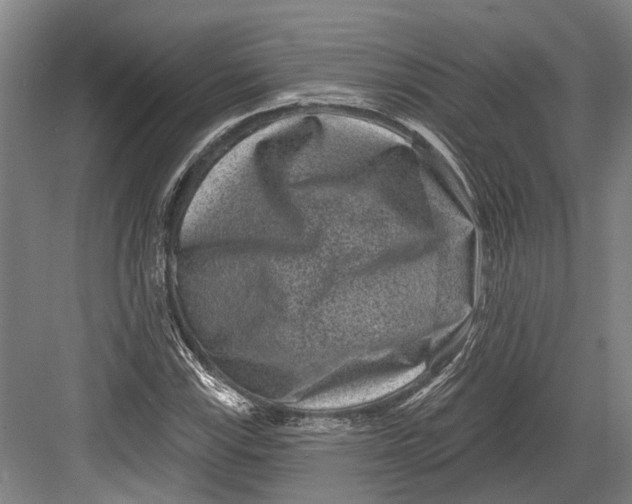 X0000082681115200702161651