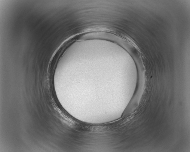 X0000082681116200702161651