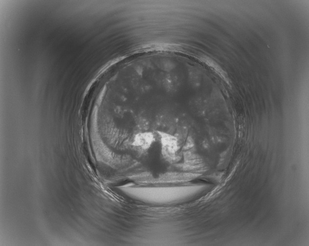 X0000082681117200702161651