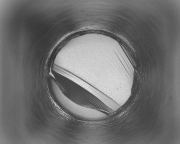 X0000082681118200702161651