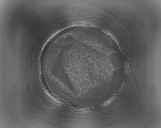 X0000082681120200702161651