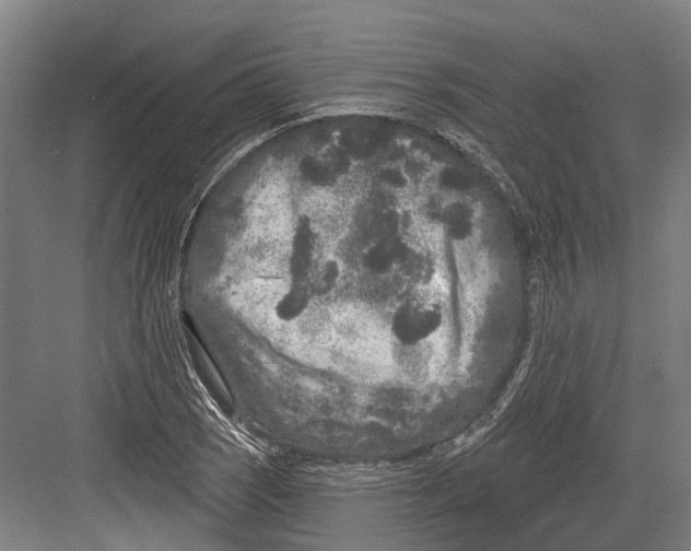 X0000082681121200702161651