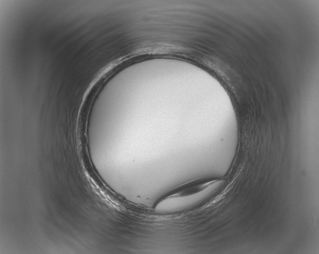 X0000082681122200702161651