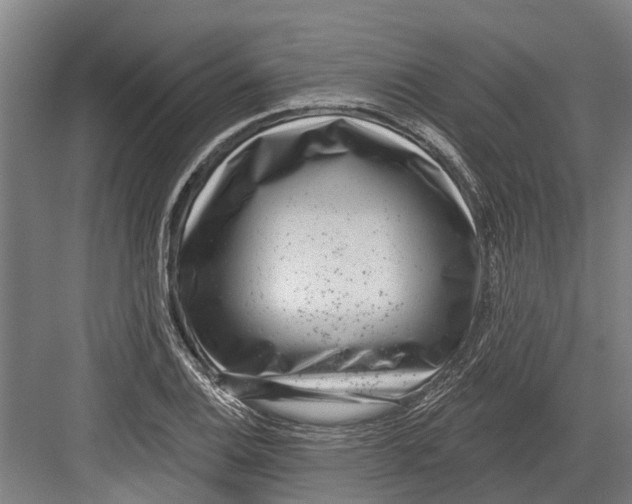 X0000082681124200702161651