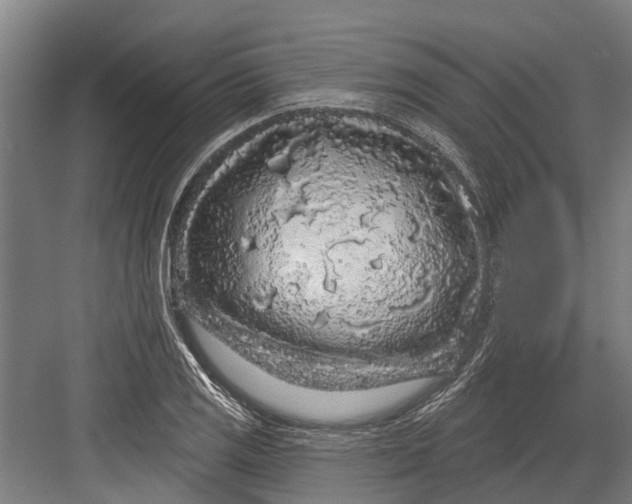 X0000082681125200702161651