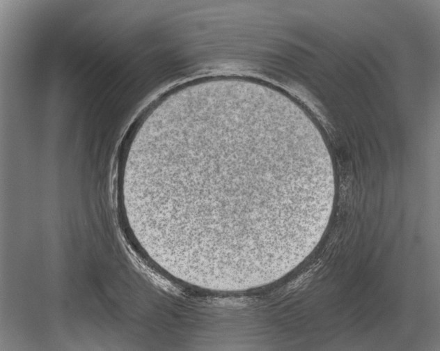 X0000082681126200702161651