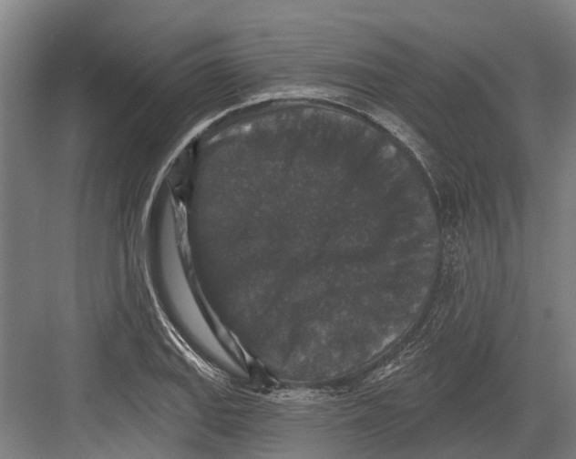 X0000082681127200702161651