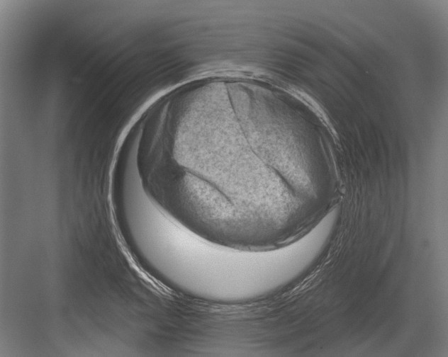 X0000082681128200702161651