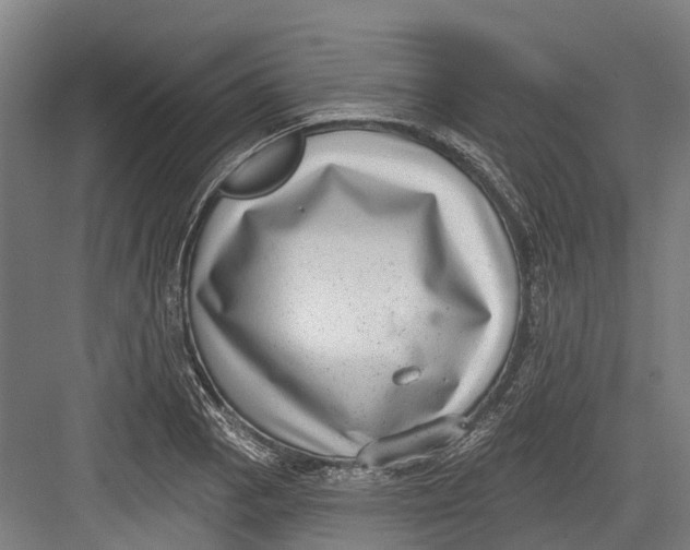 X0000082681129200702161651