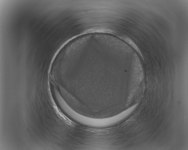 X0000082681132200702161651