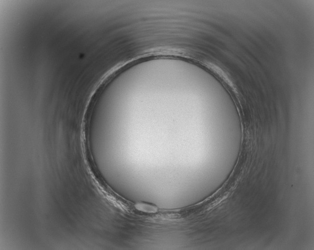 X0000082681133200702161651