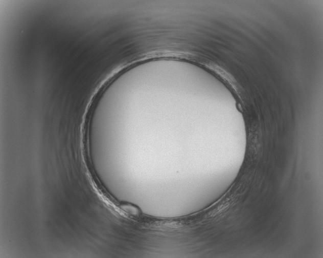 X0000082681135200702161651