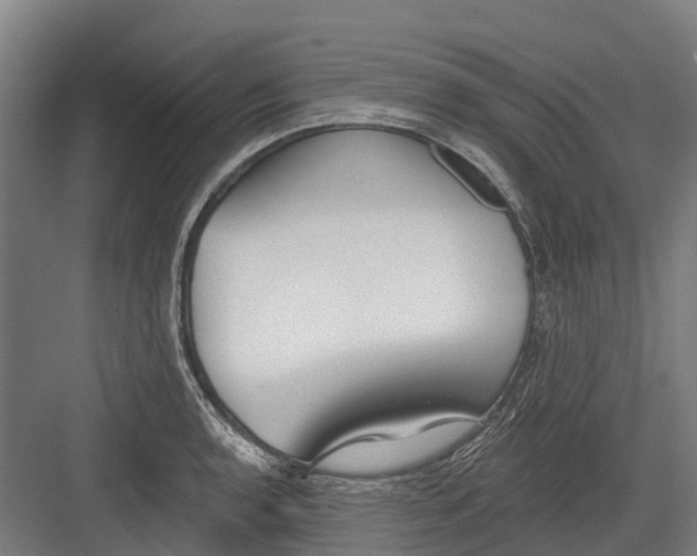 X0000082681136200702161651