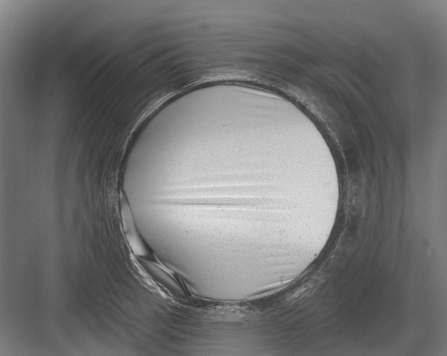 X0000082681137200702161651