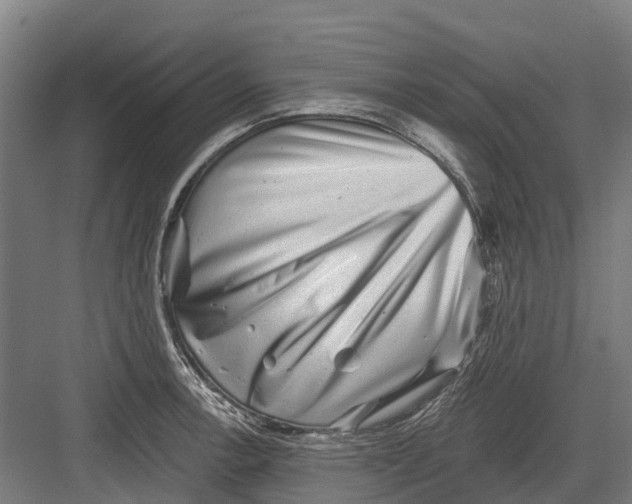 X0000082681138200702161651