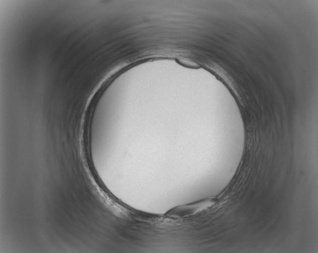 X0000082681139200702161651