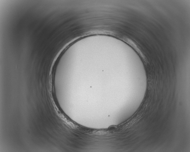 X0000082681140200702161651