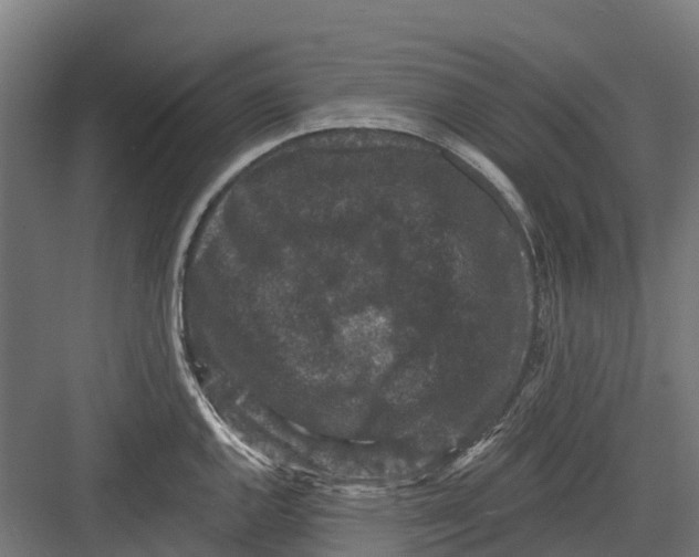 X0000082681144200702161651