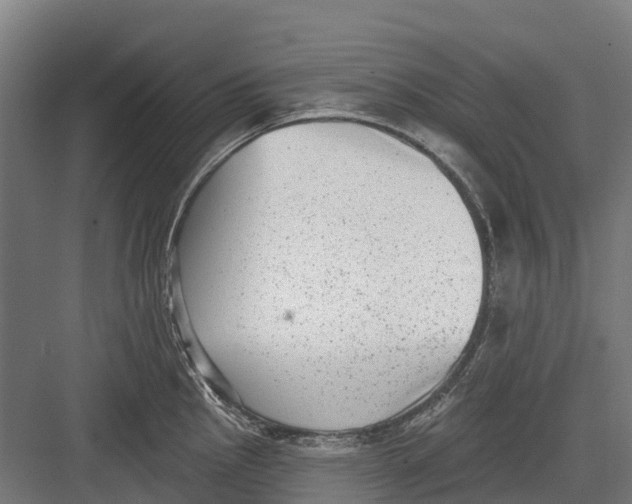 X0000082681145200702161651