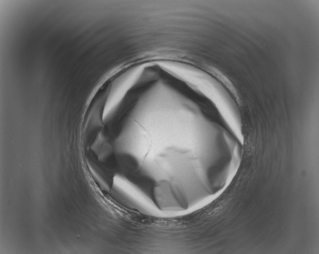 X0000082681146200702161651