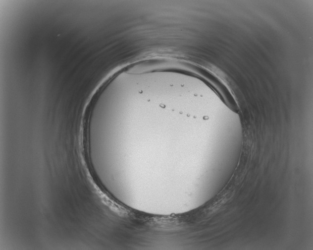 X0000082681147200702161651