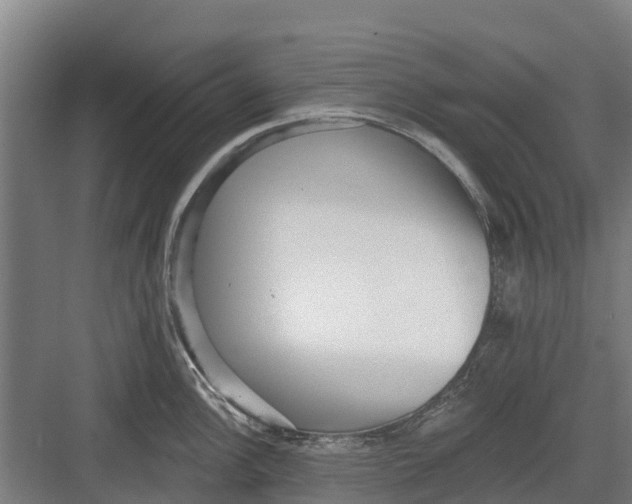 X0000082681148200702161651