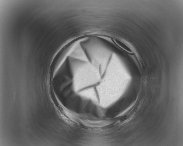 X0000082681149200702161651