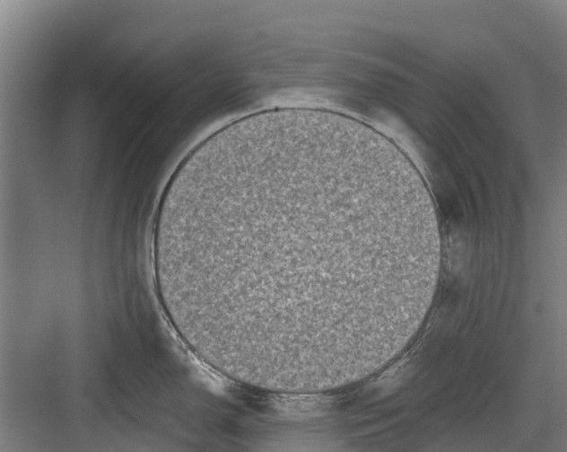 X0000082681150200702161651