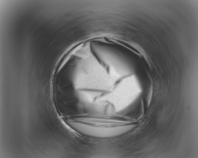 X0000082681151200702161651