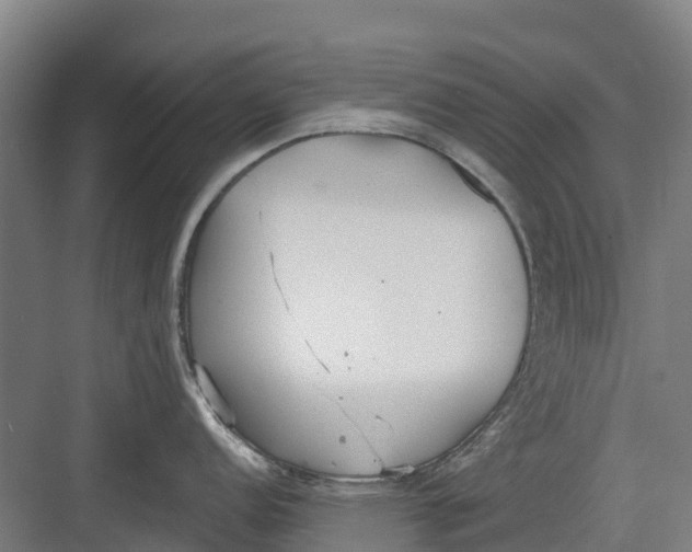 X0000082681152200702161651