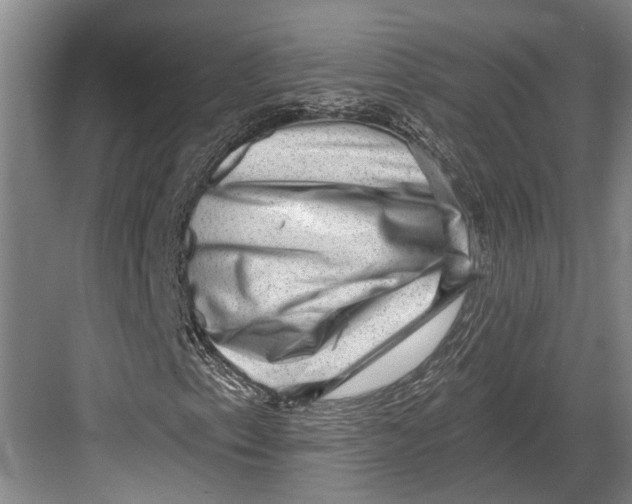 X0000082681153200702161651