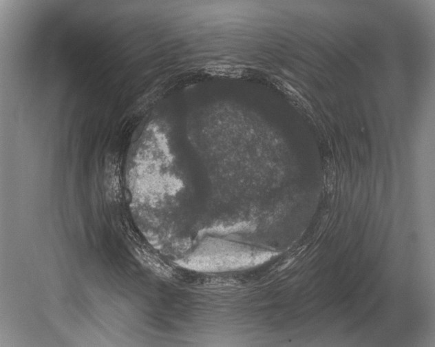 X0000082681154200702161651