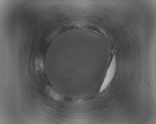 X0000082681155200702161651