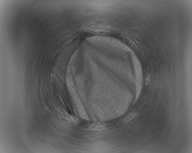 X0000082681156200702161651