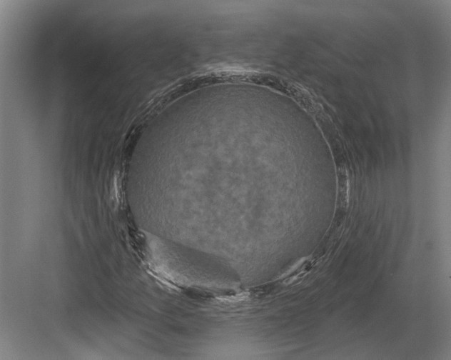 X0000082681157200702161651