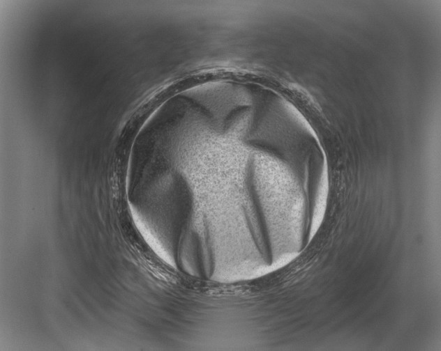 X0000082681159200702161651